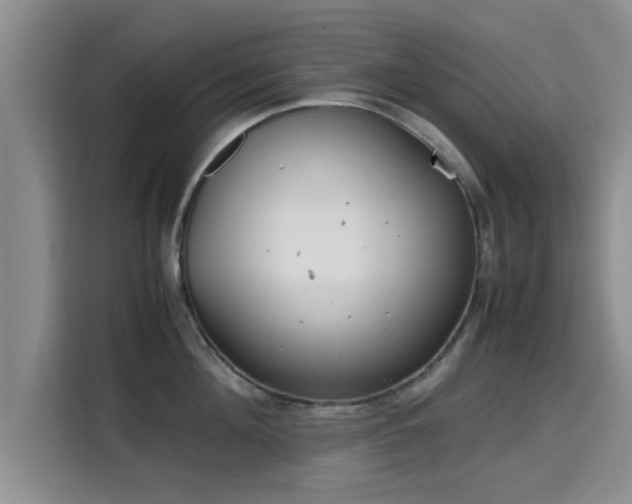 X0000115660908200911191002