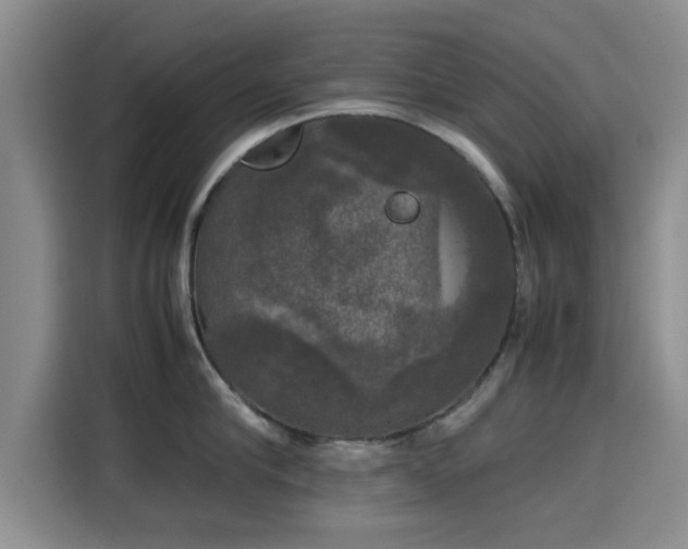 X0000115660910200911191002