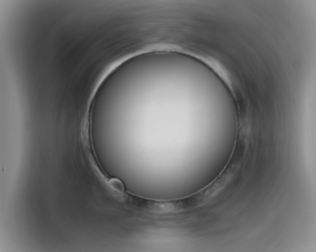 X0000115660911200911191002