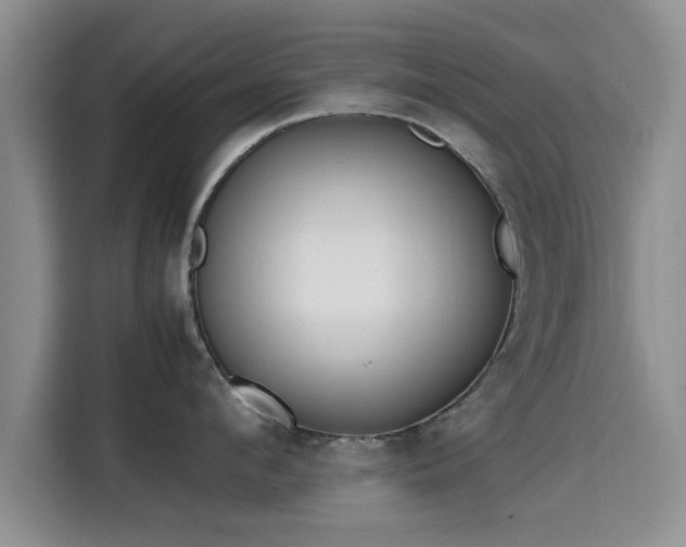 X0000115660912200911191002