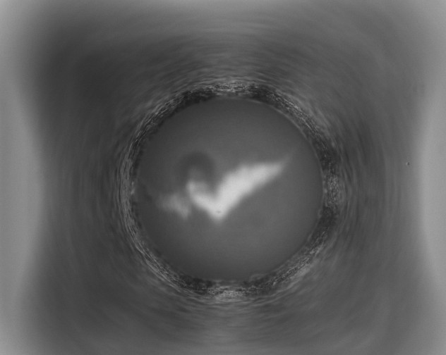 X0000115660913200911191002