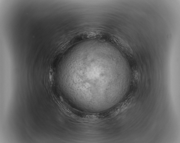 X0000115660914200911191002
