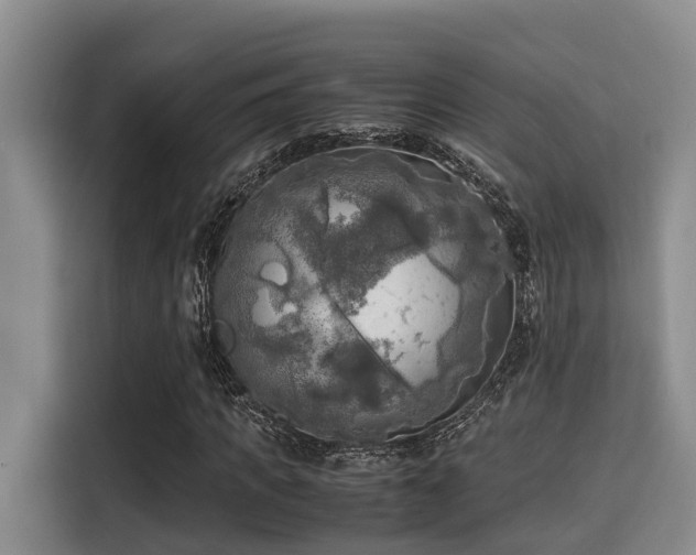 X0000115660917200911191002