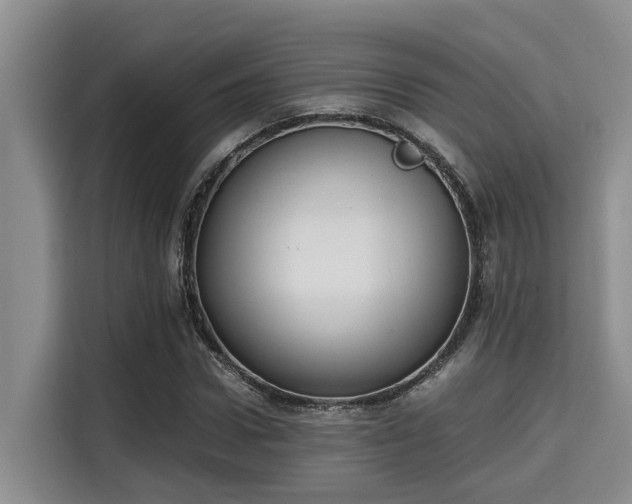 X0000115660922200911191002