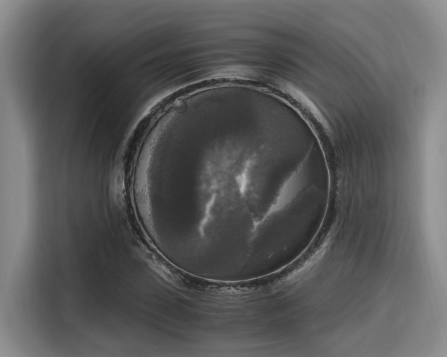 X0000115660923200911191002