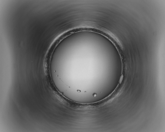 X0000115660926200911191002