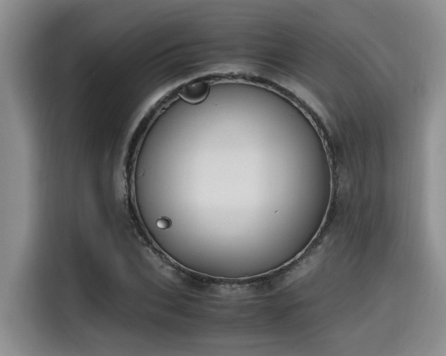 X0000115660927200911191002