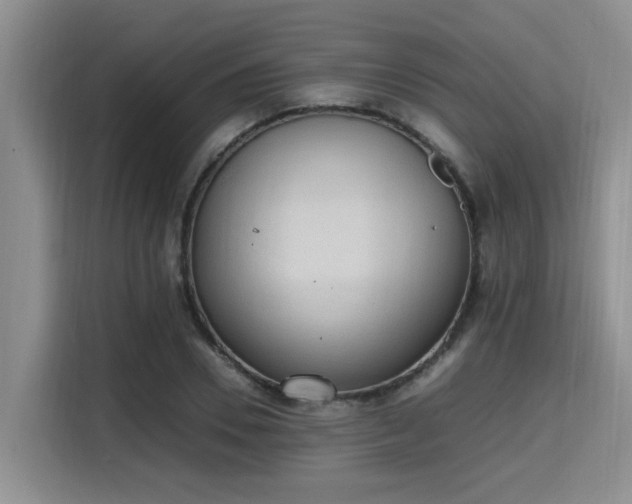 X0000115660930200911191002