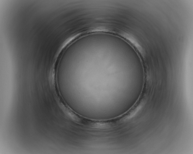 X0000115660933200911191002
