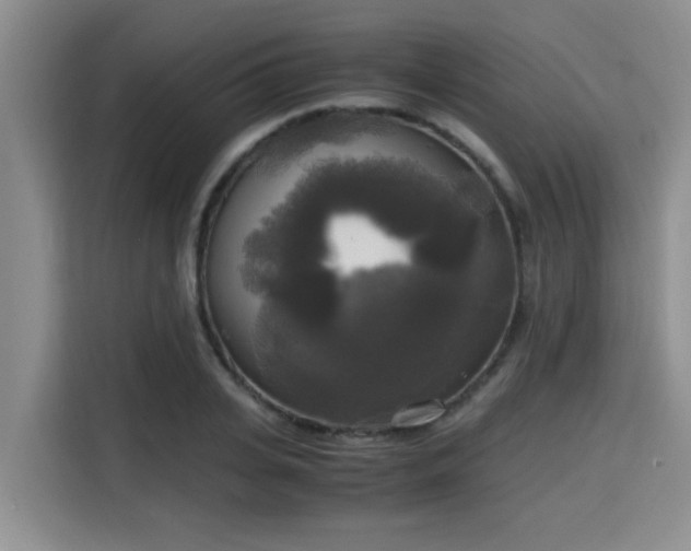 X0000115660935200911191002