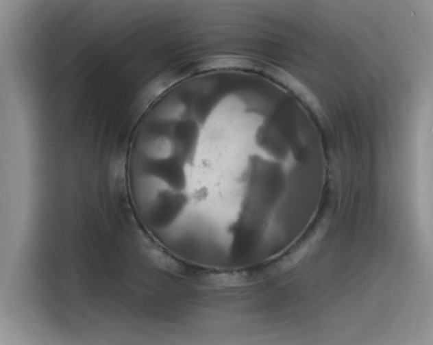 X0000115660937200911191002