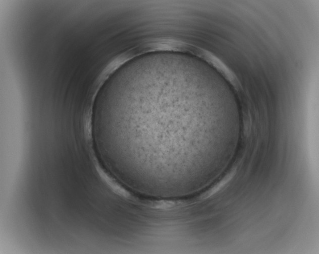 X0000115660938200911191002