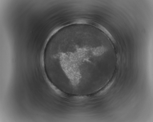 X0000115660939200911191002