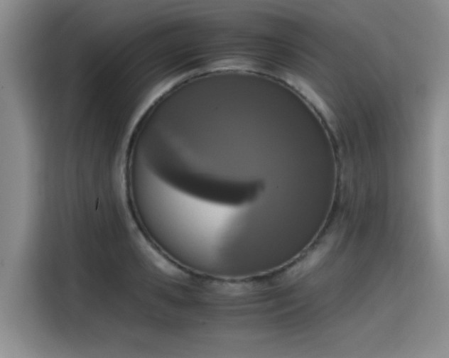 X0000115660941200911191002