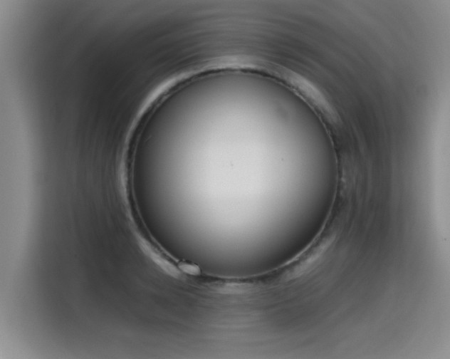 X0000115660942200911191002