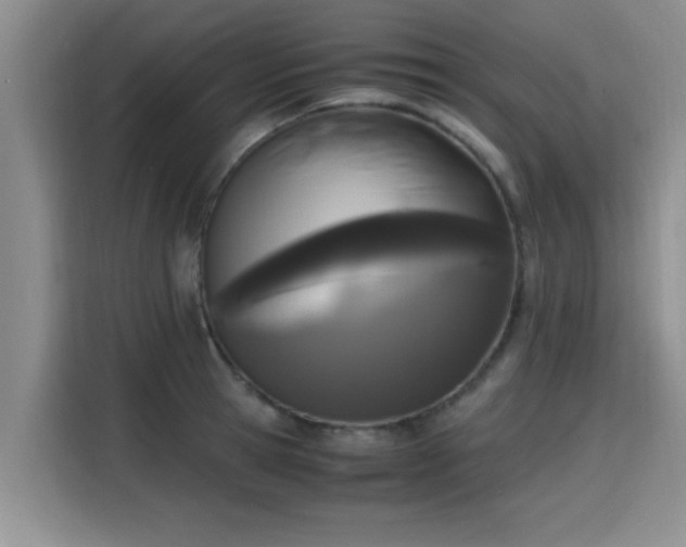 X0000115660945200911191002