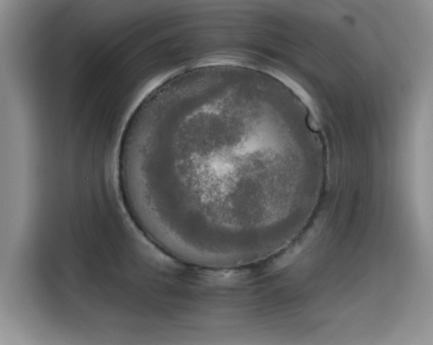 X0000115660949200911191002