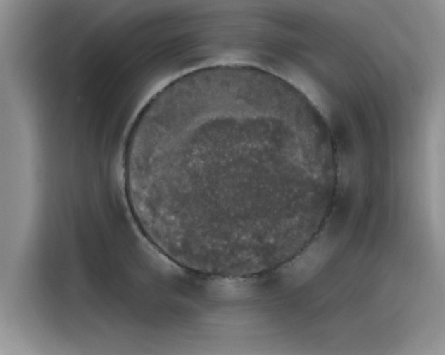 X0000115660950200911191002