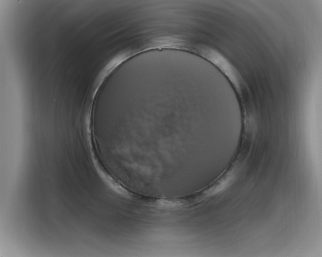 X0000115660954200911191002
