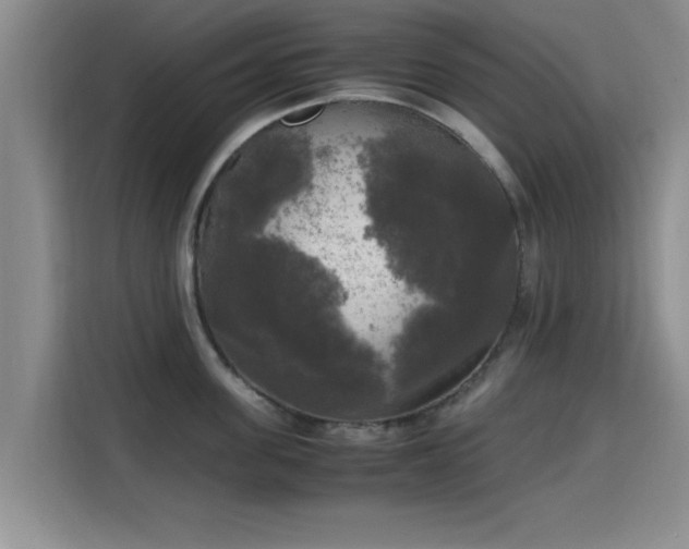 X0000115660955200911191002