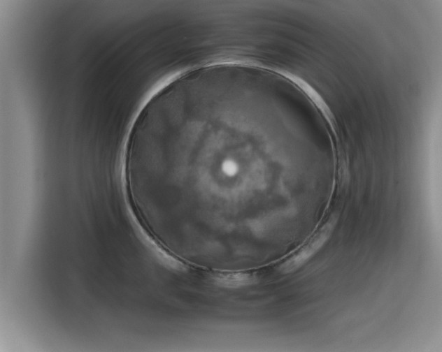 X0000115660957200911191002