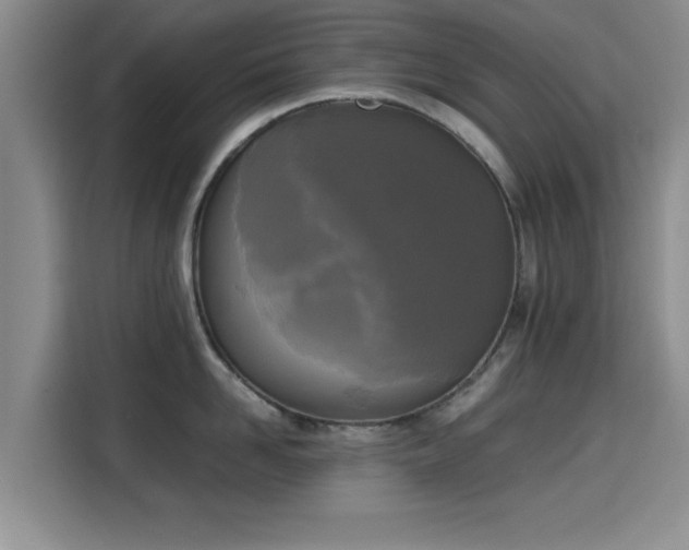 X0000115660958200911191002