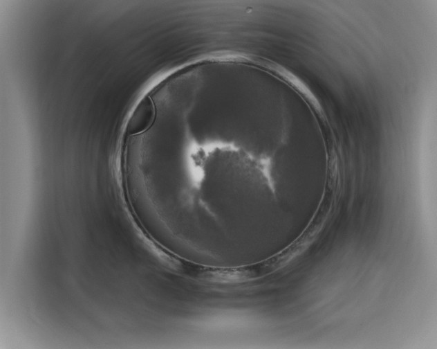 X0000115660959200911191002