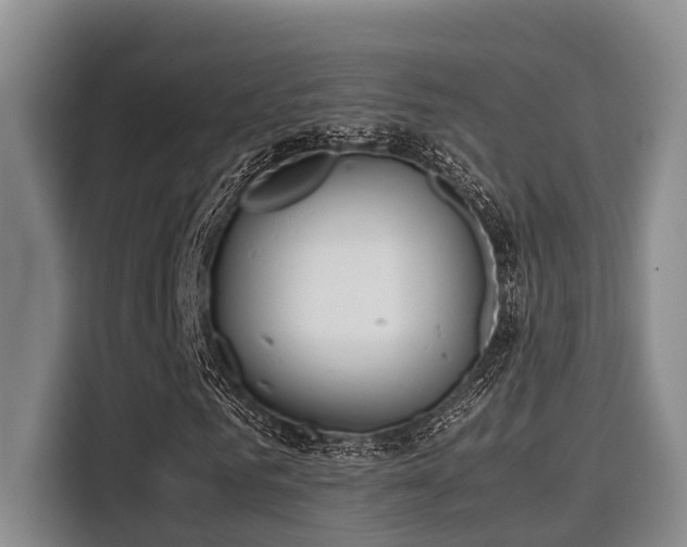 X0000115660961200911191002