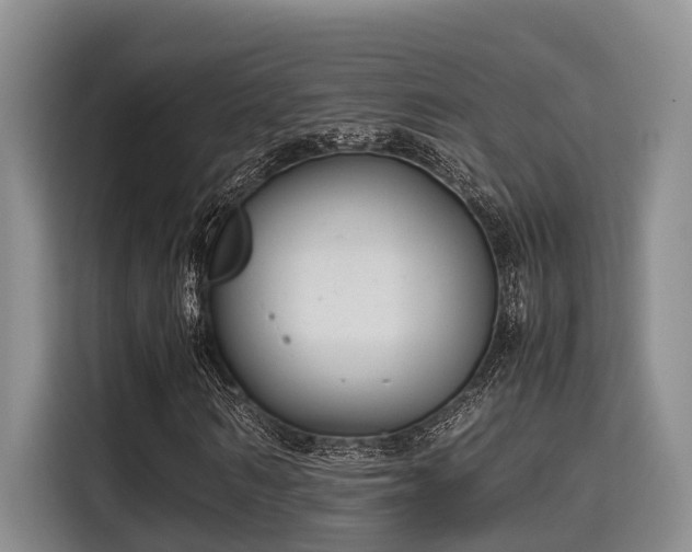 X0000115660962200911191002