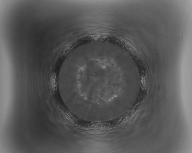 X0000115660963200911191002