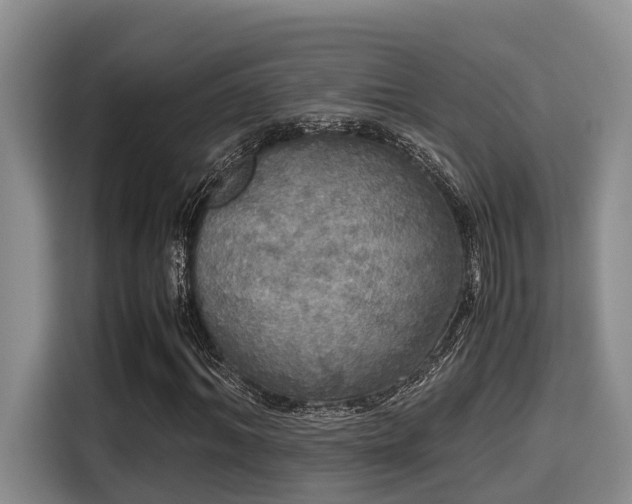 X0000115660964200911191002