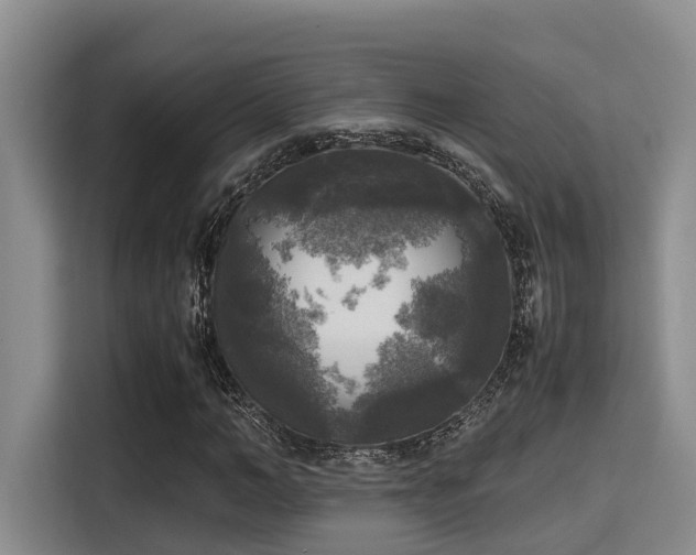 X0000115660966200911191002