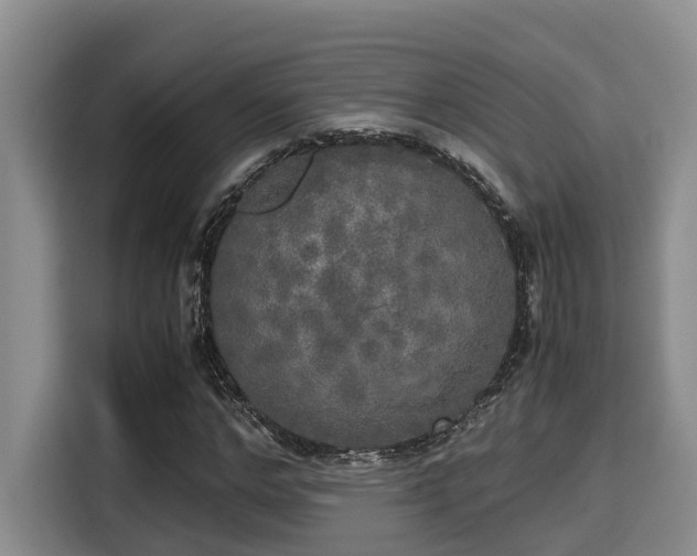 X0000115660968200911191002