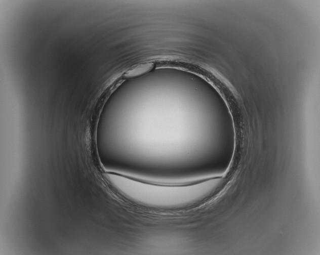X0000115660969200911191002