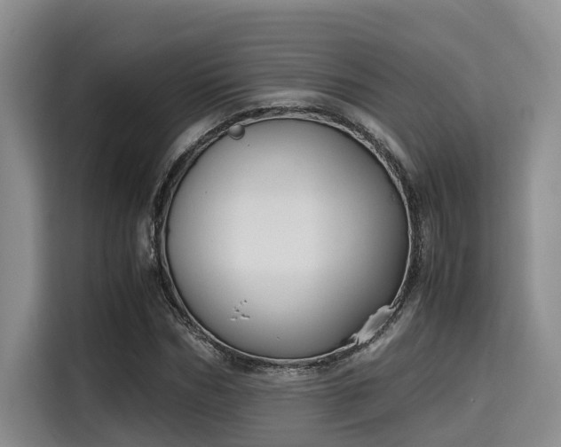X0000115660970200911191002