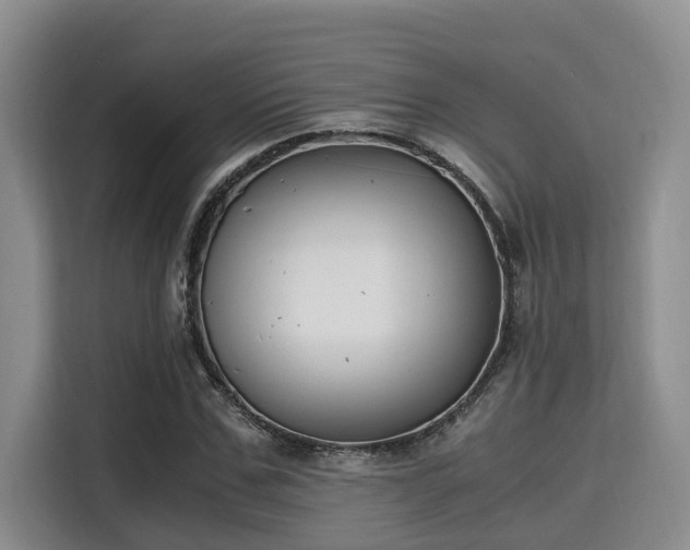 X0000115660971200911191002