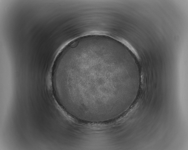 X0000115660972200911191002