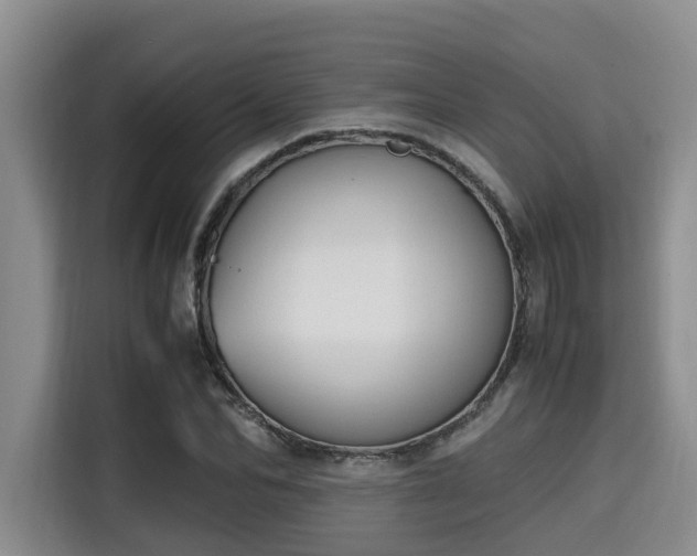 X0000115660974200911191002