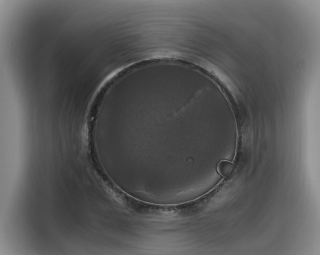X0000115660975200911191002