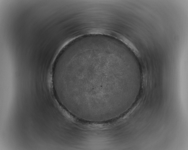X0000115660976200911191002