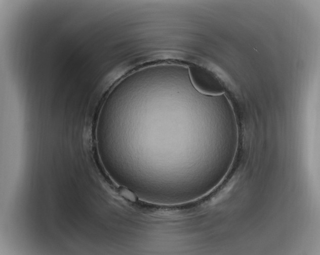 X0000115660977200911191002