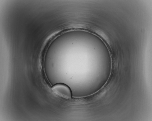 X0000115660979200911191002