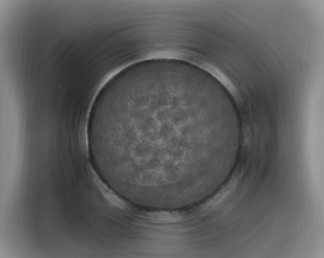 X0000115660980200911191002