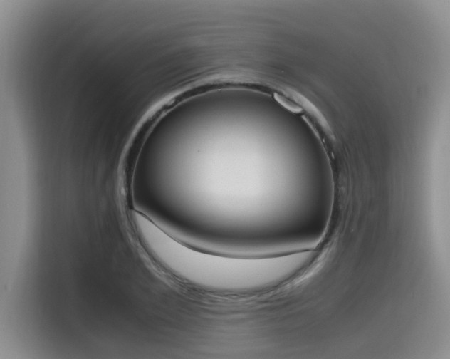 X0000115660981200911191002