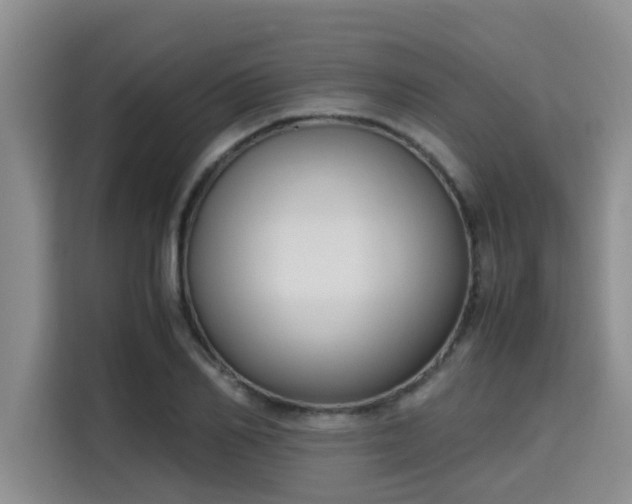 X0000115660982200911191001