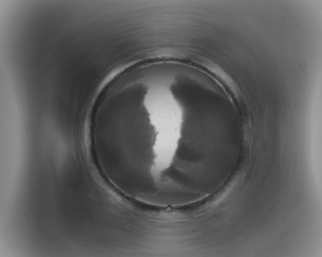 X0000115660983200911191001