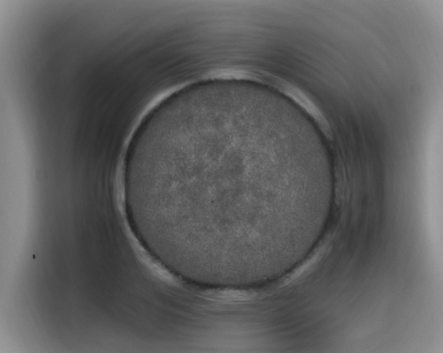 X0000115660984200911191001