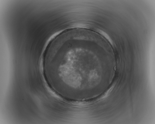 X0000115660987200911191001