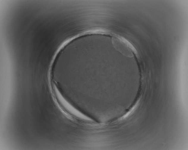 X0000115660989200911191001
