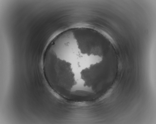 X0000115660990200911191001